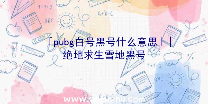 「pubg白号黑号什么意思」|绝地求生雪地黑号